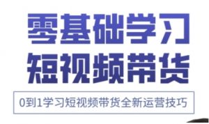 快手运营+高阶剪辑实战课，0到1学习短视频带货全新运营技巧|淘骐网赚资源库
