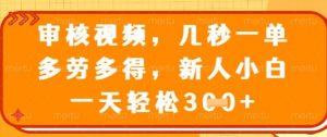 最新审核视频，几秒一单，多劳多得，新人小白一天轻松3张【揭秘】|淘骐网赚资源库