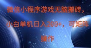 微信小程序游戏无脑搬砖，单设备日入2张+，可矩阵操作|淘骐网赚资源库