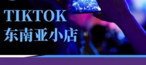 Tiktok东南亚跨境小店运营班,一门专业的TK小店运营培训课|淘骐网赚资源库