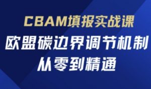 CBAM填报实战课，欧盟碳边界调节机制，从零到精通|淘骐网赚资源库