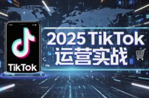 2025TikTok电商运营,掌握TikTok店铺运营核心技巧,实现低成本高转化|淘骐网赚资源库