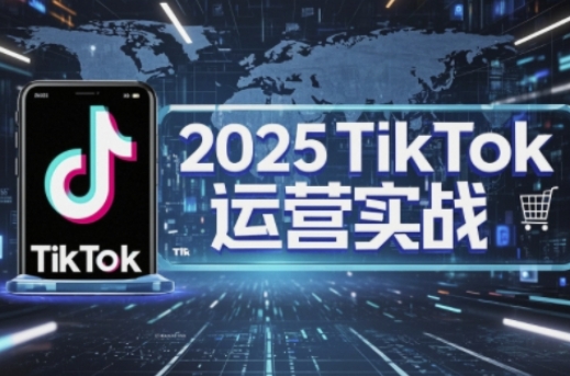 2025TikTok电商运营,掌握TikTok店铺运营核心技巧,实现低成本高转化|淘骐网赚资源库