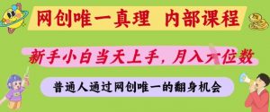 网创唯一真理,内部课程,新手小白当天上手,月入5位数,普通人通过网创唯一的机会【揭秘】|淘骐网赚资源库