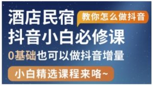 抖音本地生活酒店民宿运营,0基础也可以做抖音增量|淘骐网赚资源库