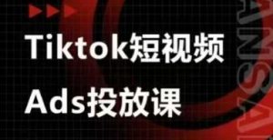 Ads视频投放课,tiktok短视频广告投放课|淘骐网赚资源库