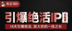引爆绝活IP训练营,14天引爆绝活,放大你的一技之长|淘骐网赚资源库