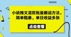 小说推文混剪批量搬运方法，简单粗暴，单日收益多张|淘骐网赚资源库