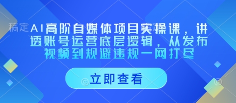 AI高阶自媒体项目实操课,讲透账号运营底层逻辑,从发布视频到规避违规一网打尽|淘骐网赚资源库