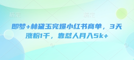 即梦+林黛玉完爆小红书商单,3天涨粉1千,靠怼人月入5k+|淘骐网赚资源库