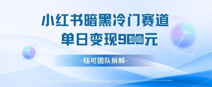 小红书冷门”暗黑”赛道,单日收益多张|淘骐网赚资源库