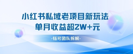 小红书私域项目新玩法,单月变现过W+|淘骐网赚资源库