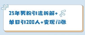 25年男粉引流拆解+单日引200人+变现多张|淘骐网赚资源库