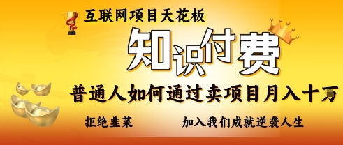 互联网项目天花板,知付付费项目,普通人如何通过卖项目月入十个,拒绝韭菜【揭秘】|淘骐网赚资源库
