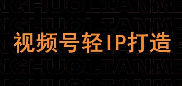 视频号线上课程，视频号轻IP打造|淘骐网赚资源库
