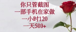 你只管截图，一部手机在家做，苹果安卓都可以，一小时120，一天5张+【揭秘】|淘骐网赚资源库