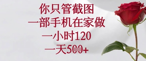 你只管截图,一部手机在家做,苹果安卓都可以,一小时120,一天5张+【揭秘】|淘骐网赚资源库