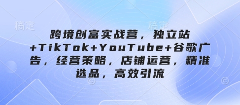 跨境创富实战营,独立站+TikTok+YouTube+谷歌广告,经营策略,店铺运营,精准选品,高效引流|淘骐网赚资源库