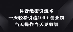 抖音绝密引流术，一天轻松引流100+创业粉，当天操作当天见效果|淘骐网赚资源库