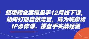 短视频全案操盘手12月线下课,如何打通自然流量,成为现象级IP必修课,操盘手实战经验|淘骐网赚资源库