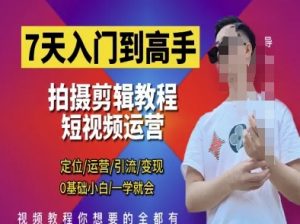 7天入门到高手,短视频剪辑运营高手课,定位 运营 引|流 变现,0基础小白一学就会|淘骐网赚资源库
