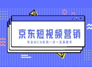 京东短视频营销项目，专业MCN机构一对一实操教学|淘骐网赚资源库