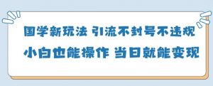 国学新玩法，引流不封号不违规小白也能操作，当日就能变现|淘骐网赚资源库