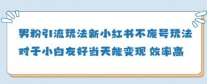 男粉引流玩法(新)，玩法友好做的好当天就能变现|淘骐网赚资源库