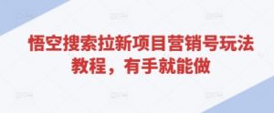 悟空搜索拉新项目营销号玩法教程，有手就能做|淘骐网赚资源库