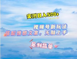 微信视频号最新玩法，表情包搭配情感文案，2分钟一条原创作品，简单好上手，轻松日入几张|淘骐网赚资源库