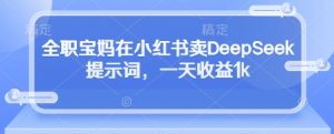 全职宝妈在小红书卖DeepSeek提示词,一天收益1k|淘骐网赚资源库