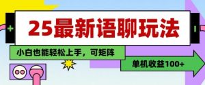 25年最新语聊玩法，纯手工，单机收益100+，小白也能轻松上手，可矩阵操作|淘骐网赚资源库