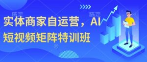 实体商家自运营,AI短视频矩阵特训班|淘骐网赚资源库