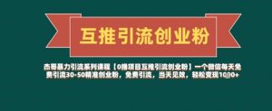 【0撸项目互推引流创业粉】一个微信每天免费引流30-50精准创业粉，免费引流，当天见效，轻松变现几张|淘骐网赚资源库