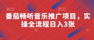 番茄畅听音乐推广项目，实操全流程日入3张|淘骐网赚资源库