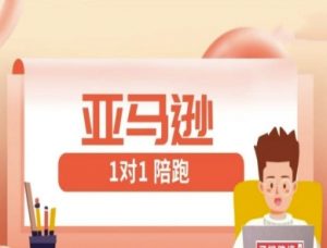 亚马逊1对1陪跑课(FBA/FBM精铺)跨境亚马逊教程|淘骐网赚资源库