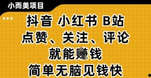小而美的项目,抖音小红书B站视频点赞、关注、评论就能挣钱,简单无脑立见收益,妥妥的零撸项目【揭秘】|淘骐网赚资源库
