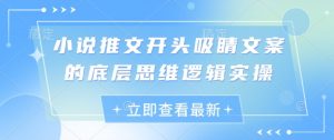 小说推文开头吸睛文案的底层思维逻辑实操|淘骐网赚资源库