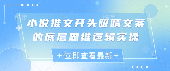 小说推文开头吸睛文案的底层思维逻辑实操|淘骐网赚资源库