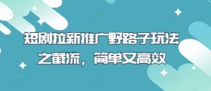 短剧拉新推广野路子玩法之截流,简单又高效|淘骐网赚资源库