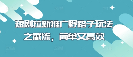 短剧拉新推广野路子玩法之截流,简单又高效|淘骐网赚资源库