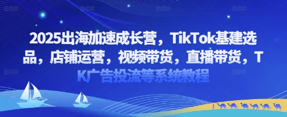 2025出海加速成长营,TikTok基建选品,店铺运营,视频带货,直播带货,TK广告投流等系统教程|淘骐网赚资源库