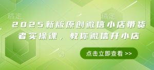 2025新版原创微信小店带货者实操课,教你微信开小店|淘骐网赚资源库