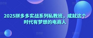 2025拼多多实战系列私教班,成就这个时代有梦想的电商人|淘骐网赚资源库