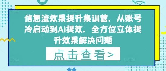 信息流效果提升集训营,从账号冷启动到AI提效,全方位立体提升效果解决问题|淘骐网赚资源库