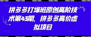 拼多多打爆班原创高阶技术第43期,拼多多高价虚拟项目|淘骐网赚资源库