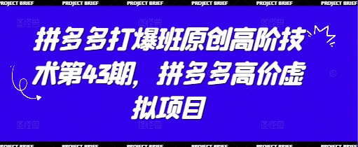拼多多打爆班原创高阶技术第43期,拼多多高价虚拟项目|淘骐网赚资源库