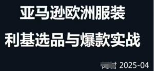 跨境电商选品案例24-25年,聚焦跨境电商选品策略与运营优化,助力卖家挖掘蓝海市场|淘骐网赚资源库
