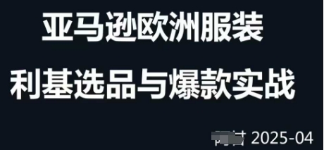 跨境电商选品案例24-25年,聚焦跨境电商选品策略与运营优化,助力卖家挖掘蓝海市场|淘骐网赚资源库