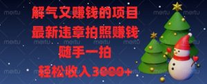解气又挣钱的项目，最新违章拍照挣钱，随手一拍，轻松收入数张【揭秘】|淘骐网赚资源库